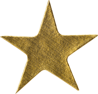 Gold Star Sticker